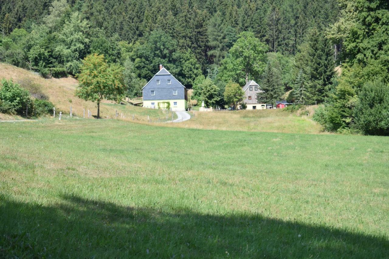 Ferienwohnung Waldmuehle Saupsdorf Экстерьер фото